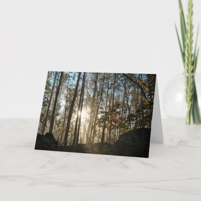 Tarjeta Por la mañana en los bosques de Pensilvania (Anverso)