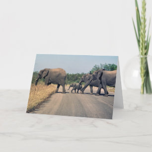 Tarjeta ¿Por qué el elefante cruzó la calle? (1)