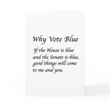 Por qué votar azul en 2026