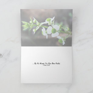 Tarjeta Por Sus Llagas Fuisteis Sanados Fotografía Floral 