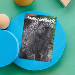 Tarjeta Porcupine Photo Funny Cumpleaños<br><div class="desc">¿Otro cumpleaños? Esta divertida tarjeta de cumpleaños de temática animal muestra la foto de un Porcupine negro con algunos edredones grises. Seleccione una tarjeta de estilo mate o brillante.</div>