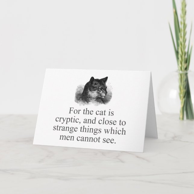 Tarjeta Porque El Gato Es Criptico (Anverso)