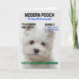 Tarjeta Portada de la revista Maltese Terrier