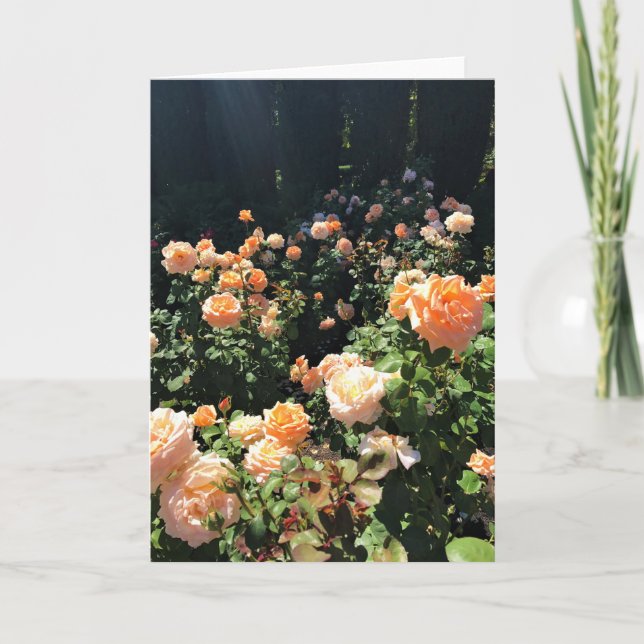 Tarjeta Portland Rosa Garden, OR (Anverso)