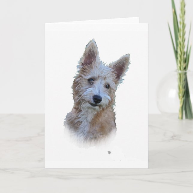 Tarjeta Portugués Podengo (Anverso)