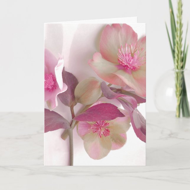 Tarjeta Posavasos de papel de Hellebores soñadores (Anverso)