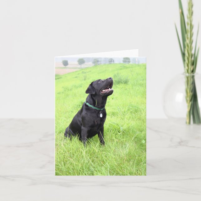 Tarjeta Posición negra de la LR (Anverso)