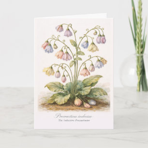 Tarjeta Pospone indecisa La procrastinadora indecisa