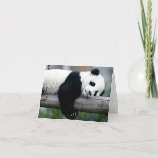 Tarjeta Post de Abrazo de Panda