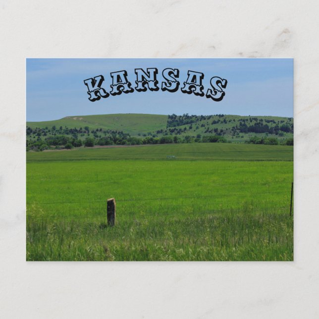 TARJETA POST de Kansas Green Meadow (Anverso)