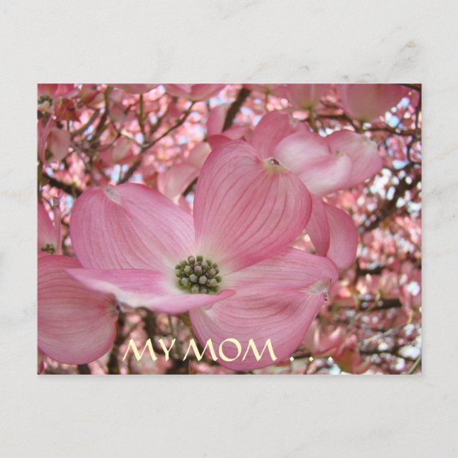 TARJETA POST Mi mamá más dulce de la vida DOGWOOD  (Anverso)