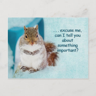 TARJETA POST - PUBLICIDAD - CUTE SQUIRREL