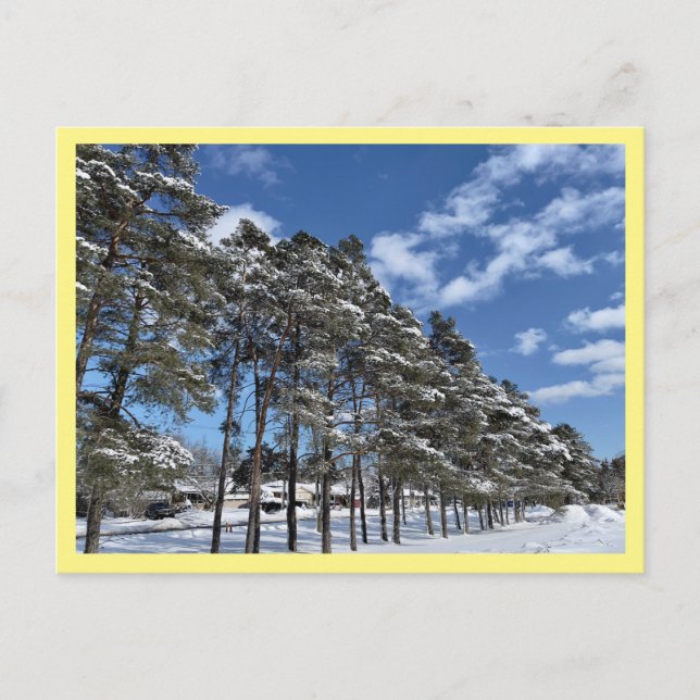 Tarjeta postal (Anverso)