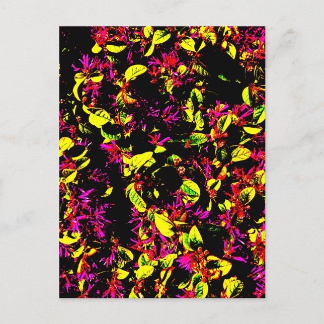 Tarjeta postal (Anverso)