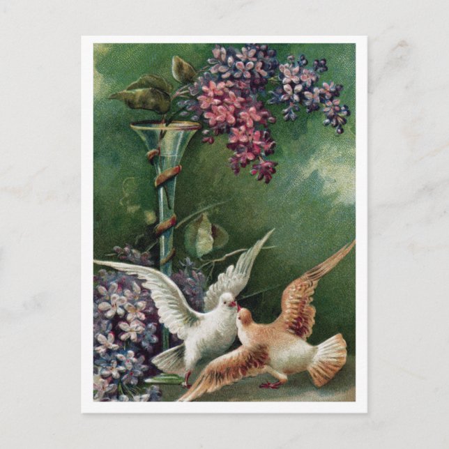 Tarjeta postal (Anverso)