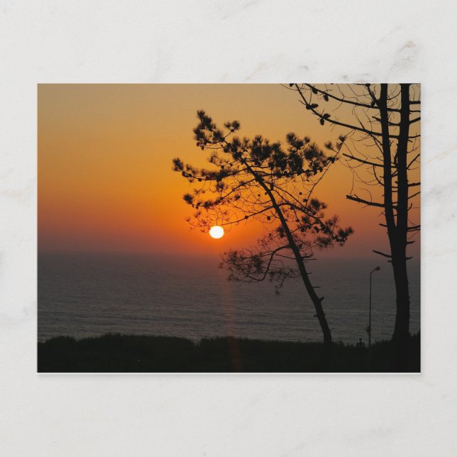 Tarjeta postal (Anverso)