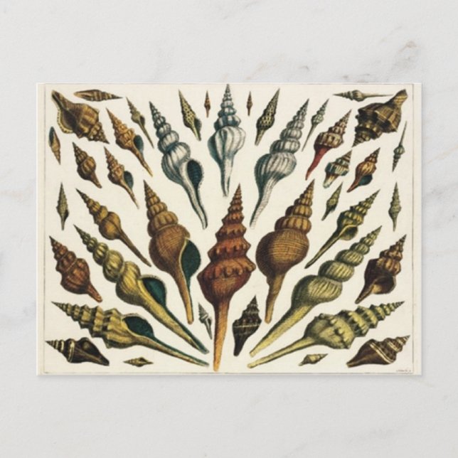 Tarjeta postal (Anverso)