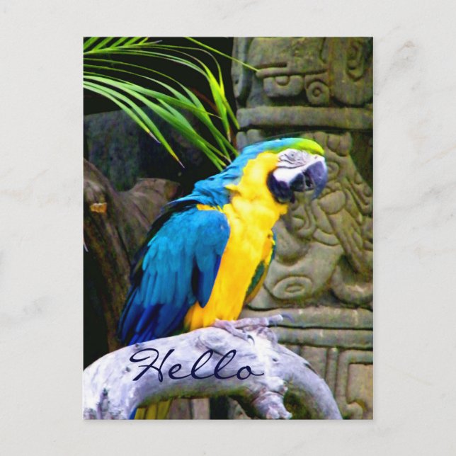 Tarjeta postal (Anverso)