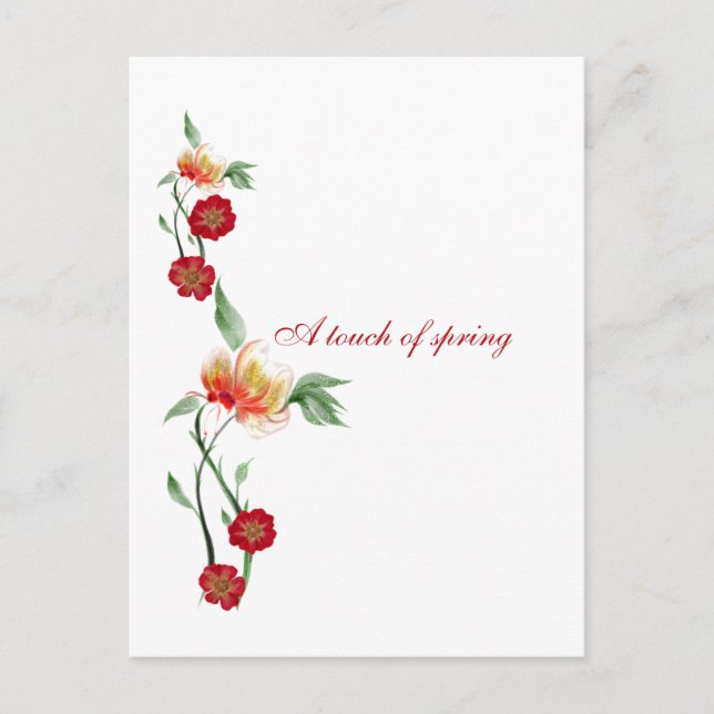 Tarjeta postal  (Anverso)