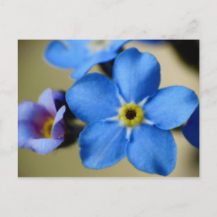 Tarjeta postal 11 para olvidar