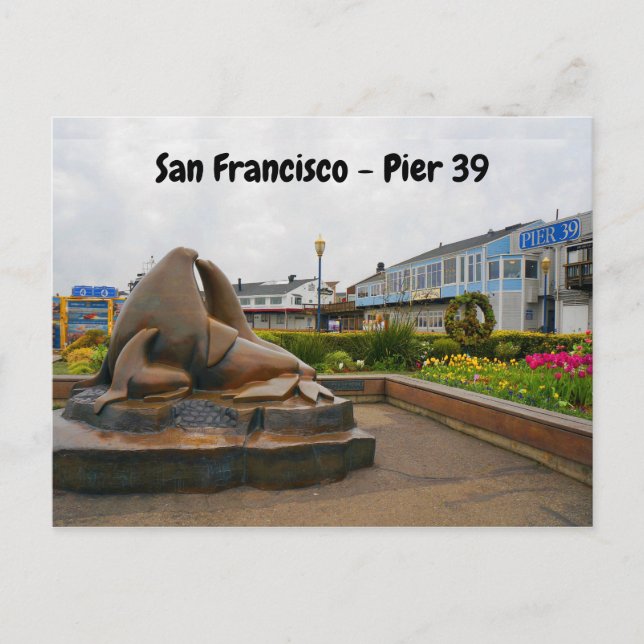 Tarjeta postal 39 #13 de San Francisco (Anverso)