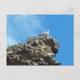 TARJETA POSTAL #3 DEL PUNTO DANA