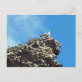 TARJETA POSTAL #3 DEL PUNTO DANA