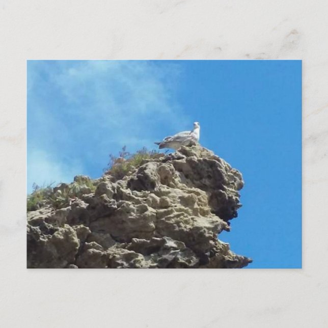 TARJETA POSTAL #3 DEL PUNTO DANA (Anverso)