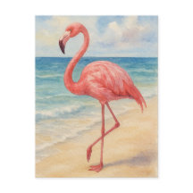 Tarjeta postal acuática Flamingo