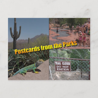 Tarjeta postal al Gobernador