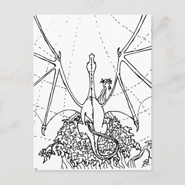 Tarjeta postal - Alas de dragón (Anverso)