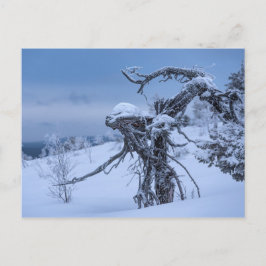 Tarjeta postal alienígena de madera congelada