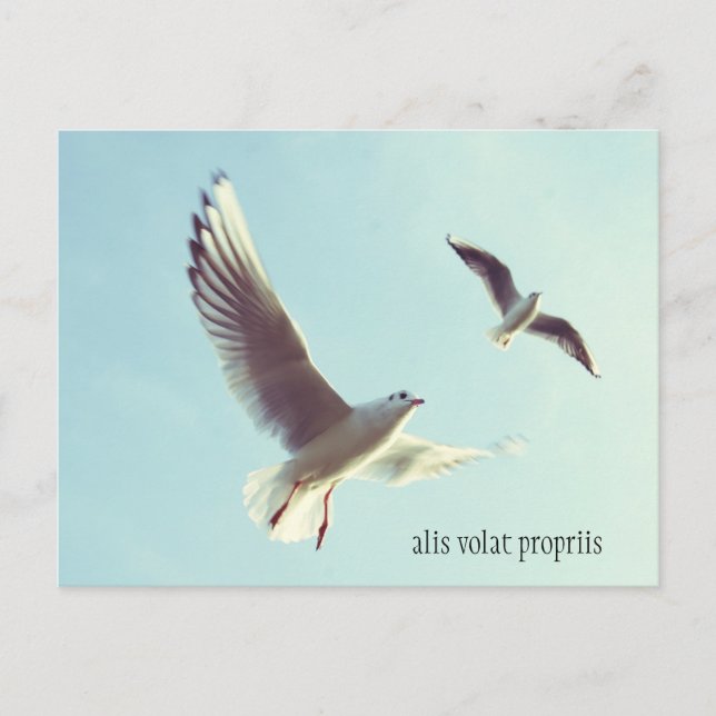 Tarjeta postal Alis Volat Propriis (Anverso)