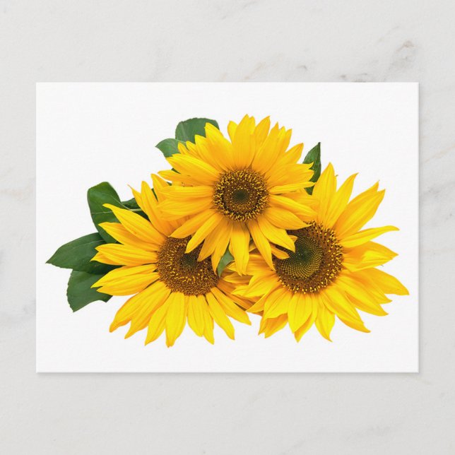 Tarjeta postal amarilla floral en blanco (Anverso)
