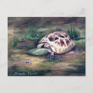 Tarjeta postal Angel Tortoise