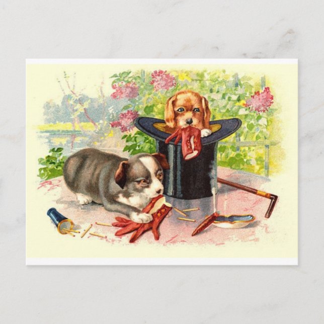 Tarjeta postal antigua de dos cachorros lindos (Anverso)