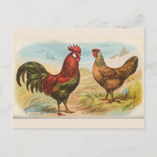 Tarjeta postal antigua de "Gallinas Leghorn"