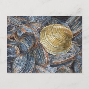 Tarjeta postal artística de almejas y quahog