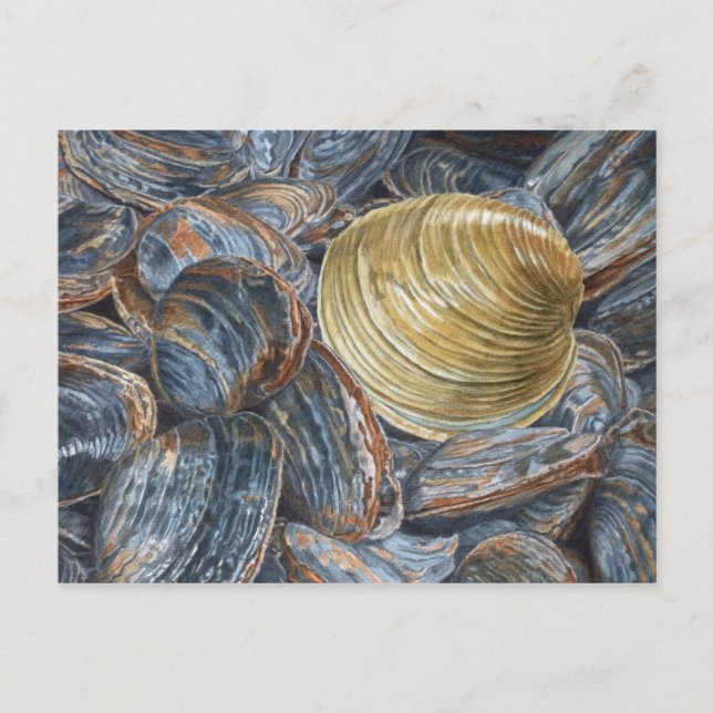 Tarjeta postal artística de almejas y quahog (Anverso)