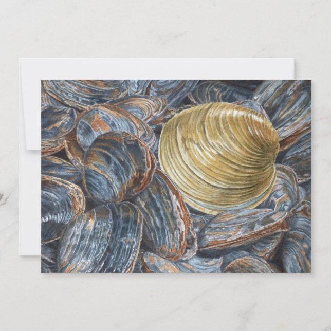 Tarjeta postal artística de almejas y quahog (Anverso)
