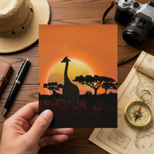 Tarjeta Postal Atardecer Jirafa Fauna Silvestre