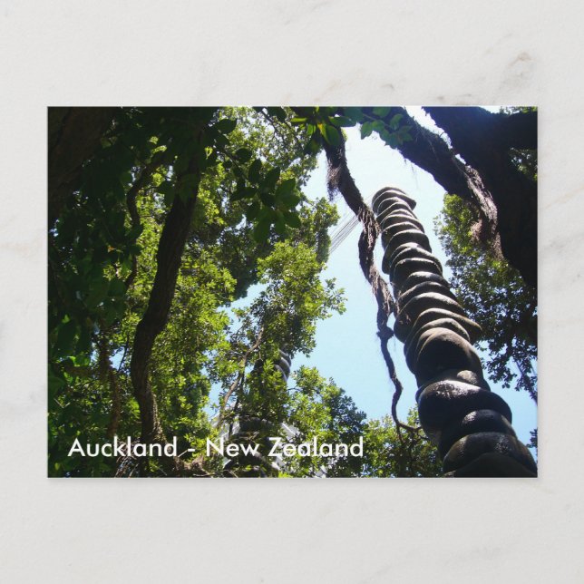 Tarjeta postal Auckland (Anverso)