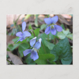 Tarjeta postal azul violeta