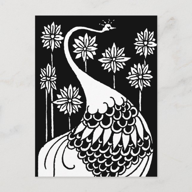 Tarjeta postal Beardsley Peacock (Anverso)