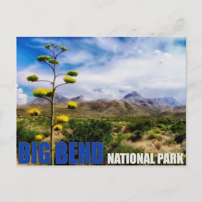 Tarjeta postal Big Bend Texas National Park (Anverso)