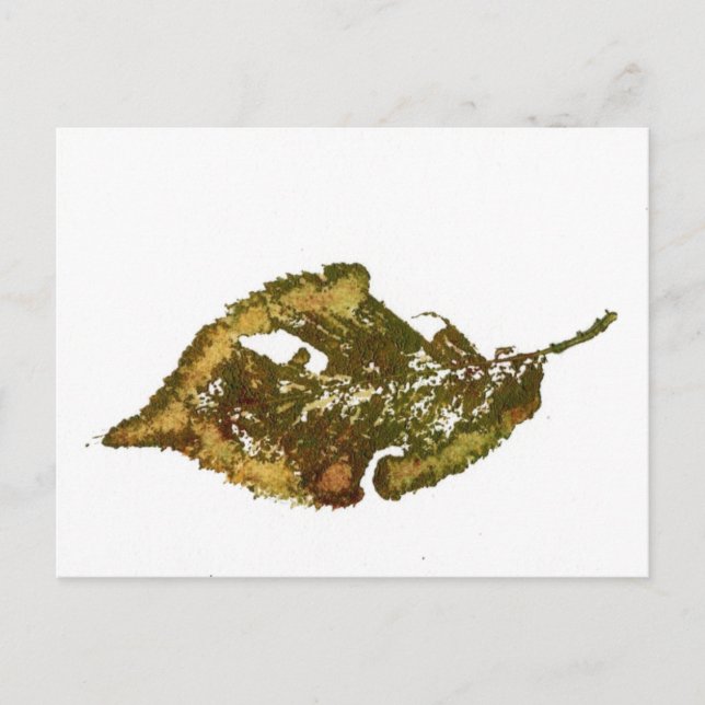 Tarjeta postal "Birch #2" (Anverso)