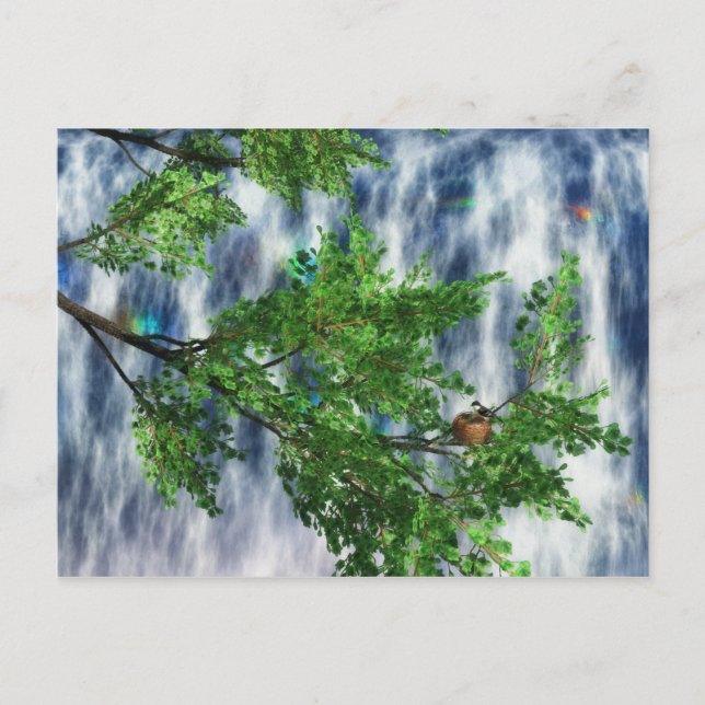 Tarjeta postal Birdsnest Falls (Anverso)