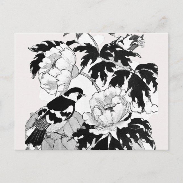 Tarjeta postal blanca y negra para las aves floral (Anverso)