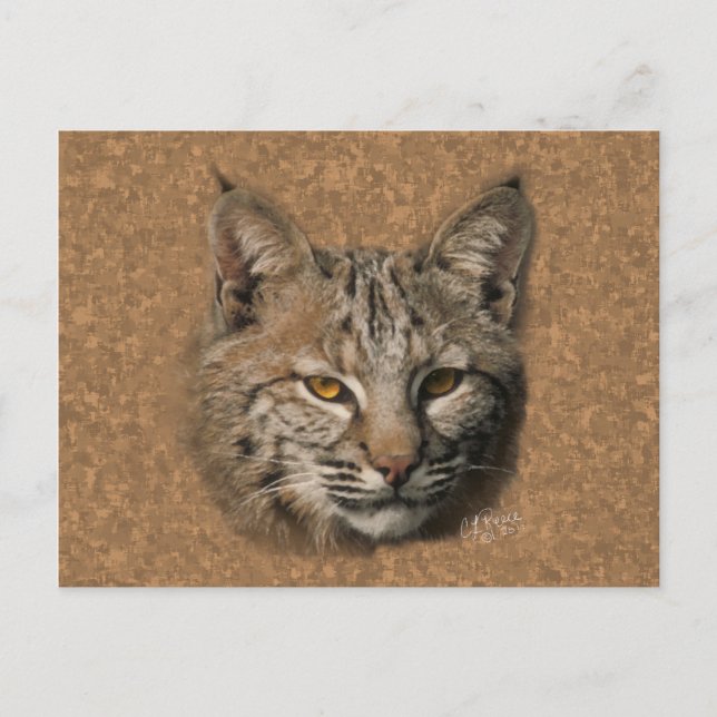 Tarjeta postal Bobcat (Anverso)