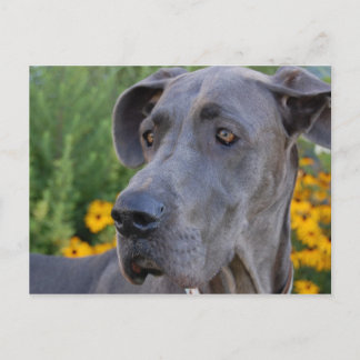 Tarjeta Postal Bonita